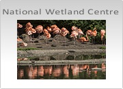 WWT National Wetland Centre