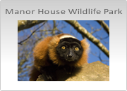 Manor House Wildlife Park Photography Workshops