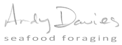 Andy Davies Seafood Foraging