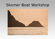 Skomer Photography Boat-based Workshops