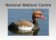 WWT National Wetland Centre